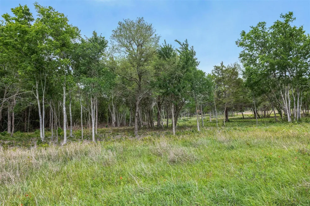 Bauer Rummel Road Round Top, TX 78954