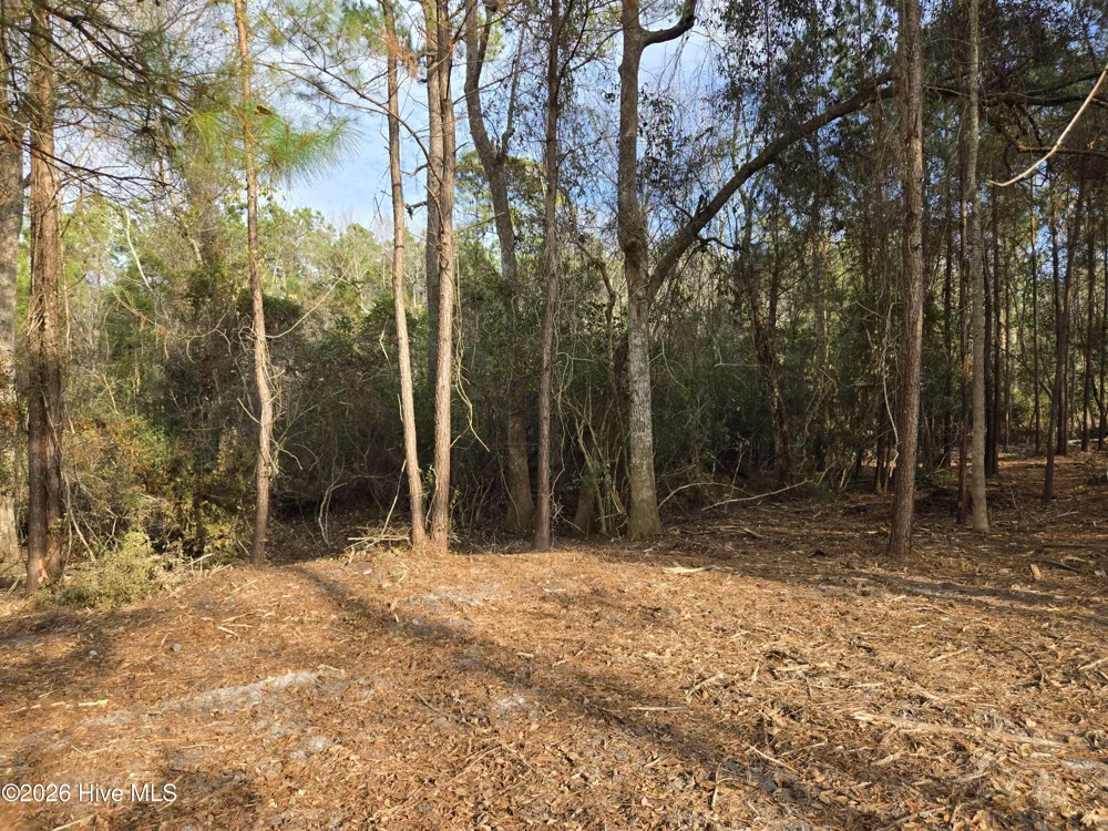 328 Ace Lane Swansboro, NC 28584