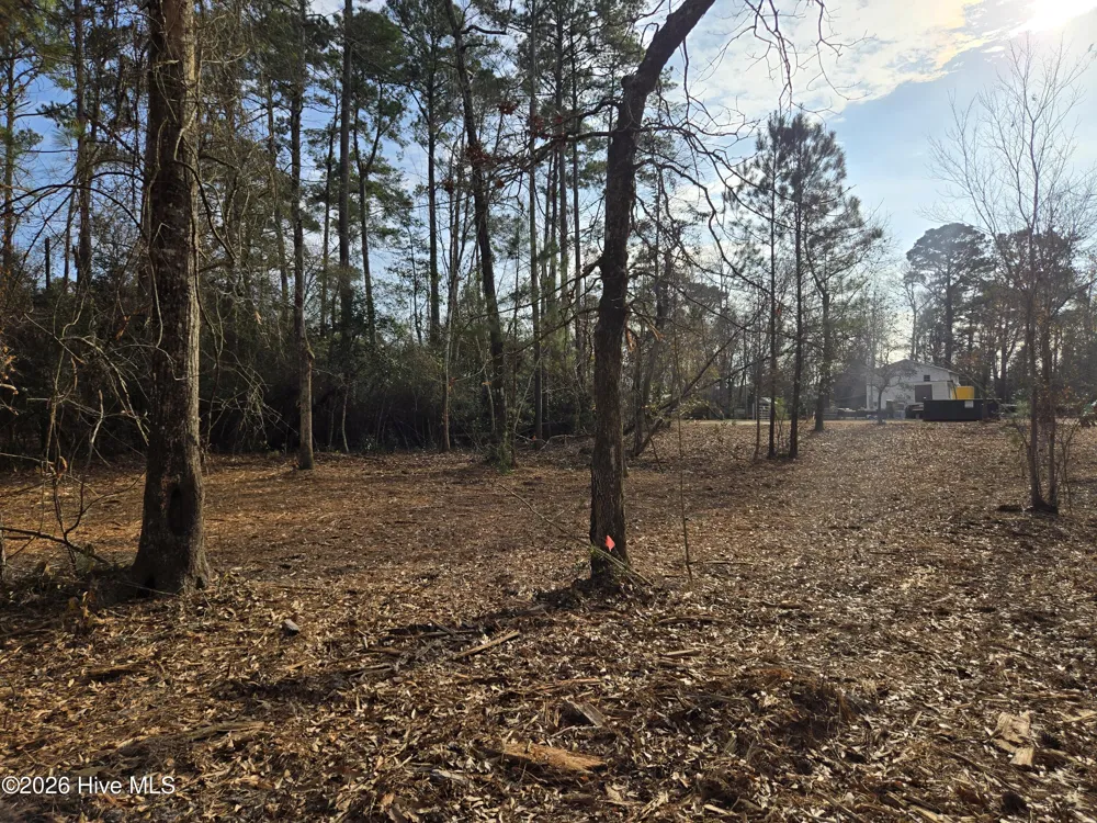 328 Ace Lane Swansboro, NC 28584