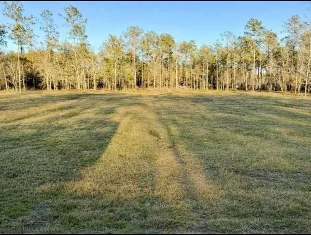 9145 Bear Creek Drive Kountze, TX 77625