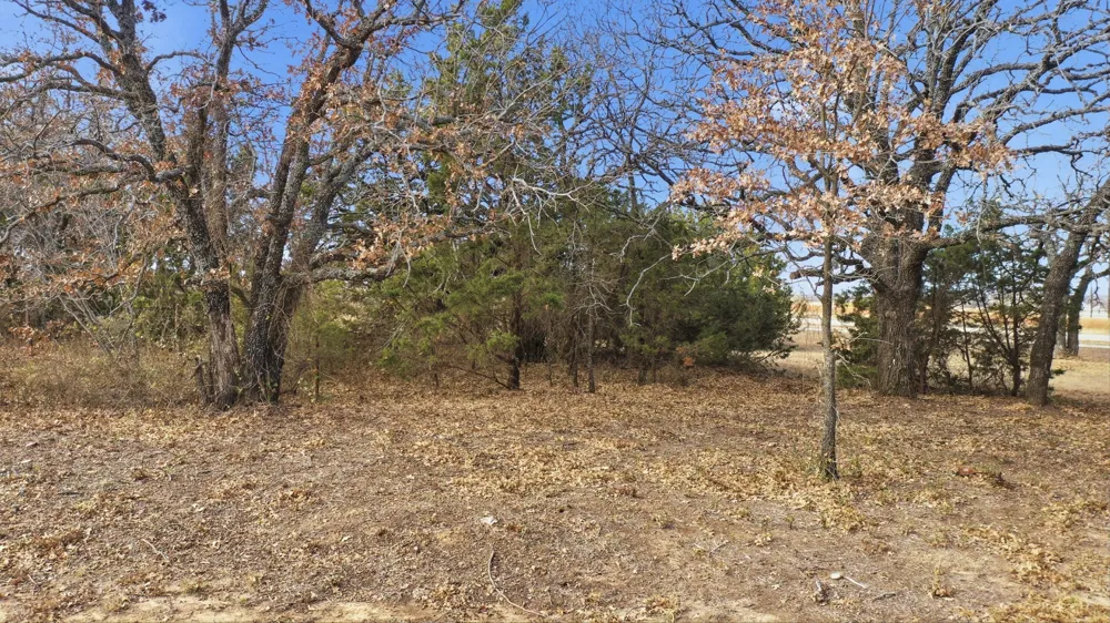 Dps Tower Perrin, TX 76486