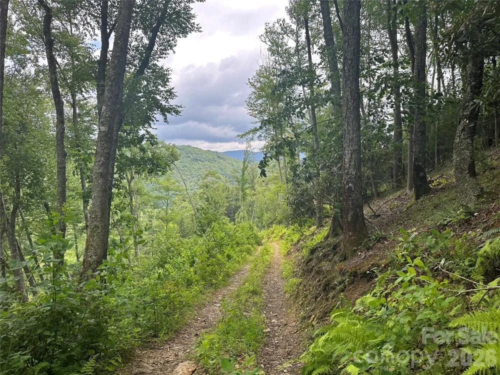 3606 NC Highway 194 S Sugar Grove, NC 28679