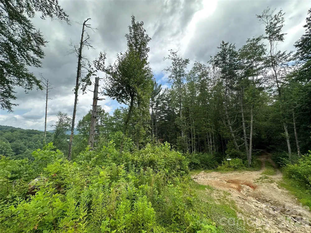 3606 NC Highway 194 S Sugar Grove, NC 28679