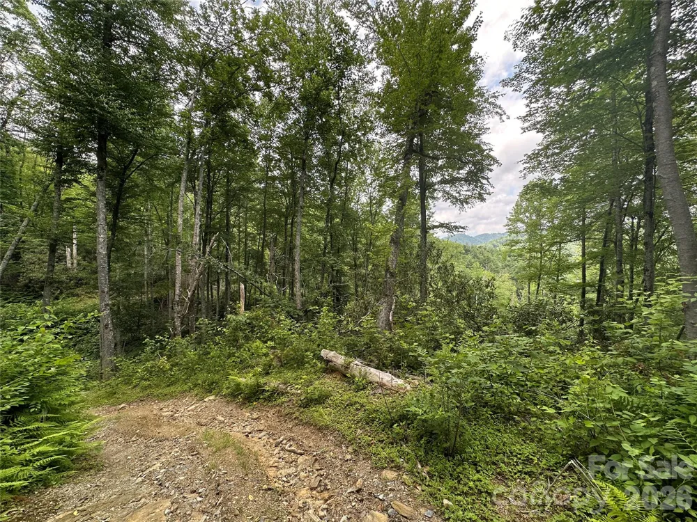 3606 NC Highway 194 S Sugar Grove, NC 28679