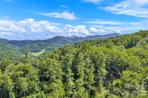 3606 NC Highway 194 S