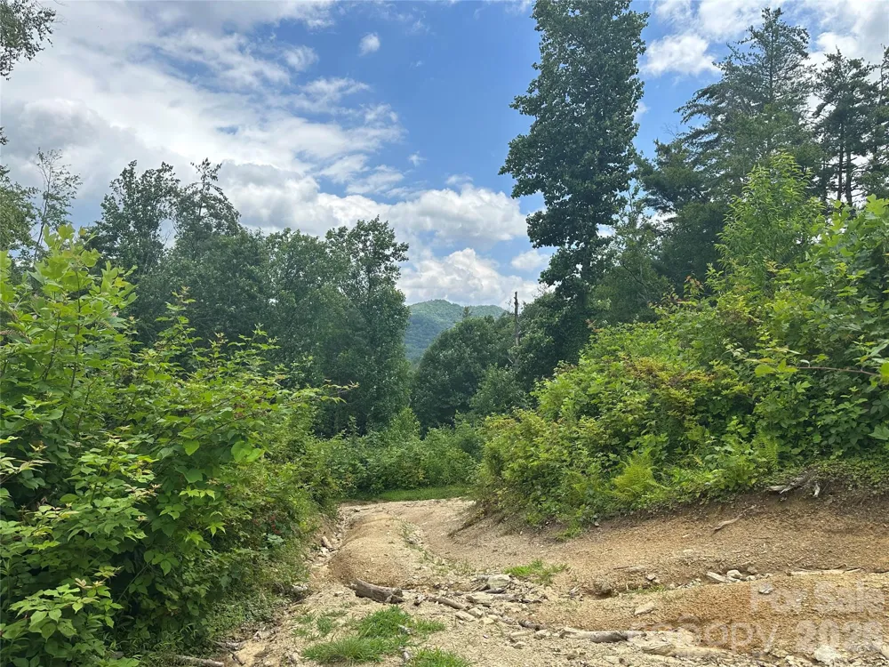 TBD NC Highway 194 S Sugar Grove, NC 28679