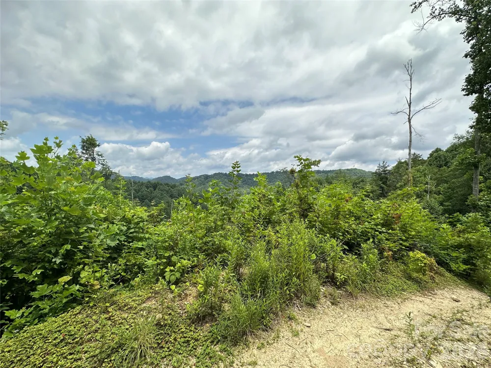 TBD NC Highway 194 S Sugar Grove, NC 28679