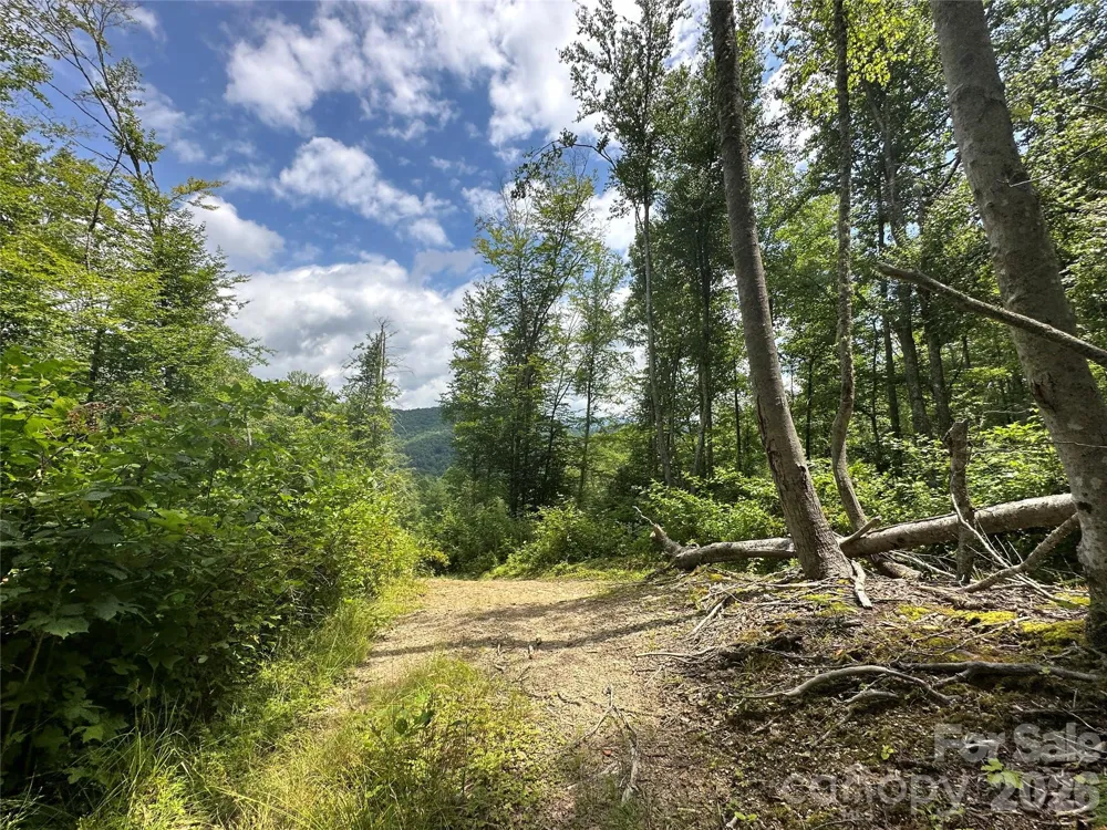 TBD NC Highway 194 S Sugar Grove, NC 28679