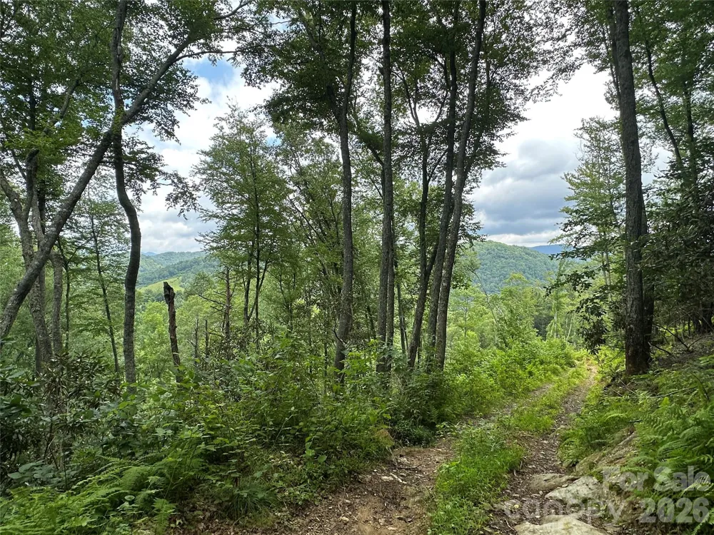 TBD NC Highway 194 S Sugar Grove, NC 28679