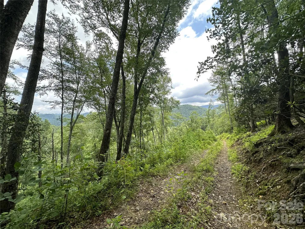 TBD NC Highway 194 S Sugar Grove, NC 28679