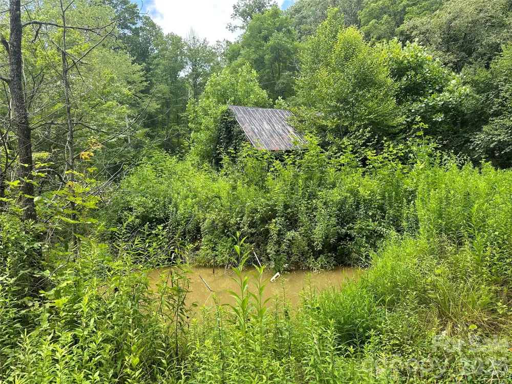 TBD NC Highway 194 S Sugar Grove, NC 28679