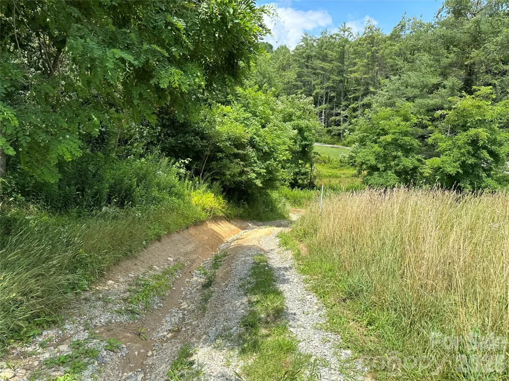 TBD NC Highway 194 S Sugar Grove, NC 28679