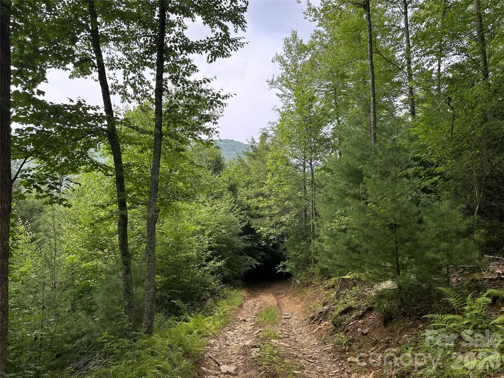 TBD NC Highway 194 S Sugar Grove, NC 28679