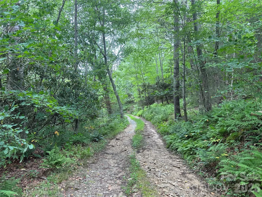 TBD NC Highway 194 S Sugar Grove, NC 28679