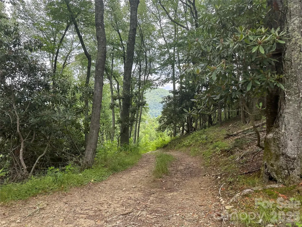 TBD NC Highway 194 S Sugar Grove, NC 28679