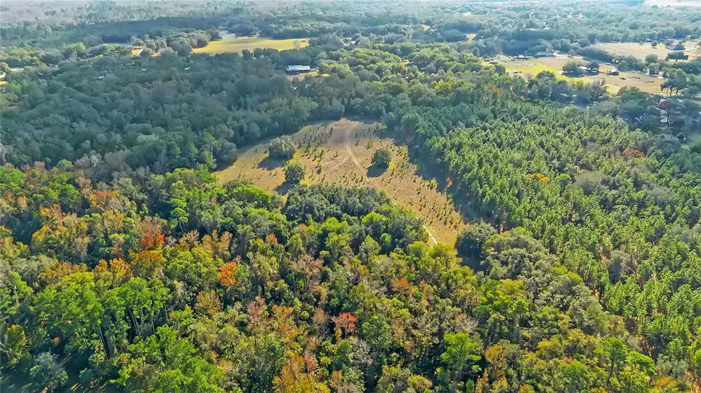 27737 COUNTY ROAD 44A Eustis, FL 32736