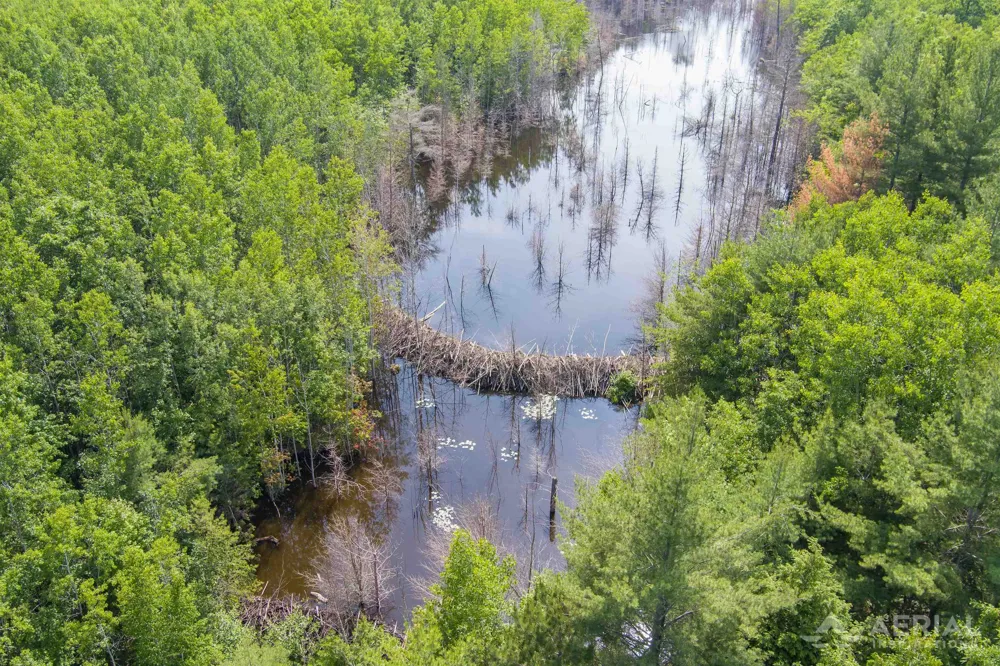 Co Road 646 Rogers Township, MI 49779