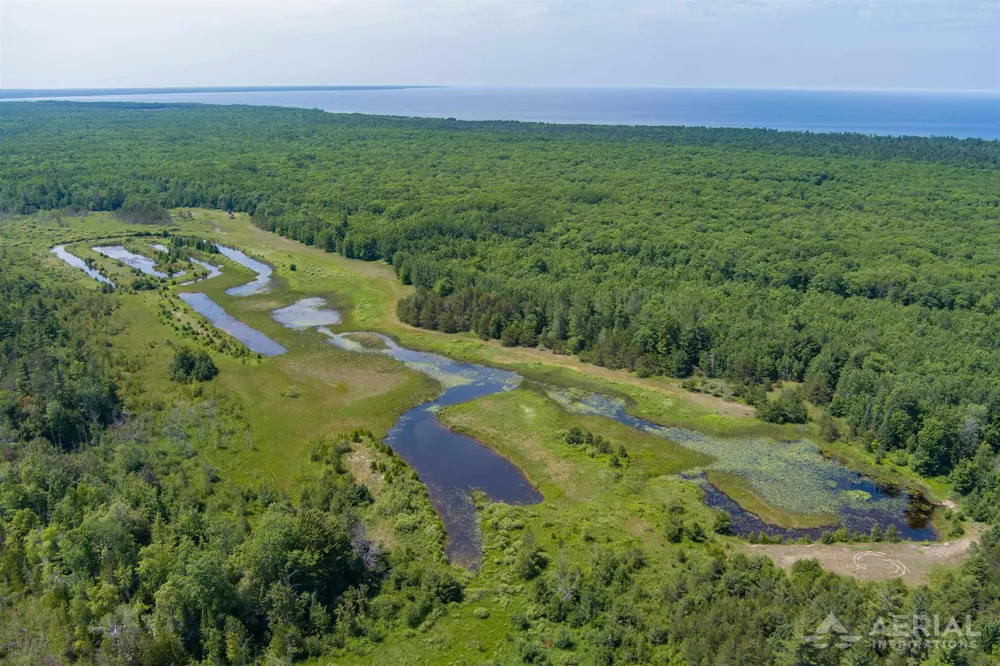 Co Road 646 Rogers Township, MI 49779