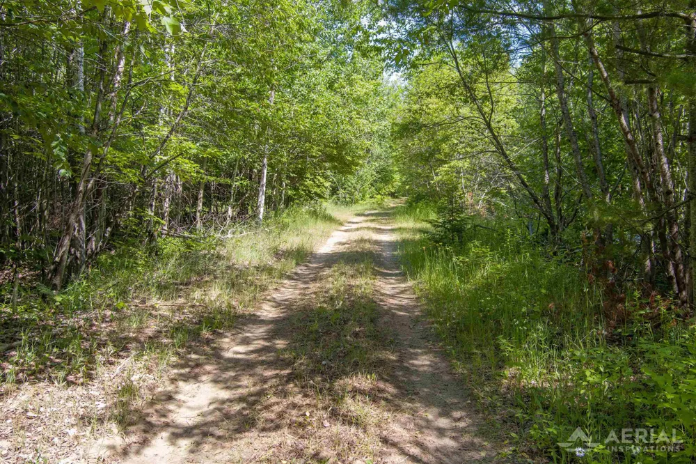 Co Road 646 Rogers Township, MI 49779