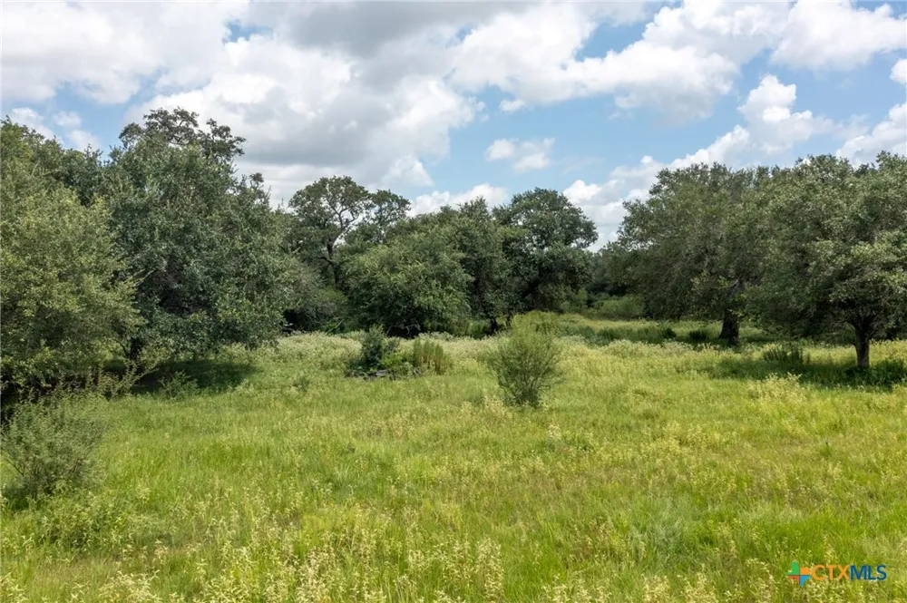 1371 Fannin Oaks Drive Victoria, TX 77905