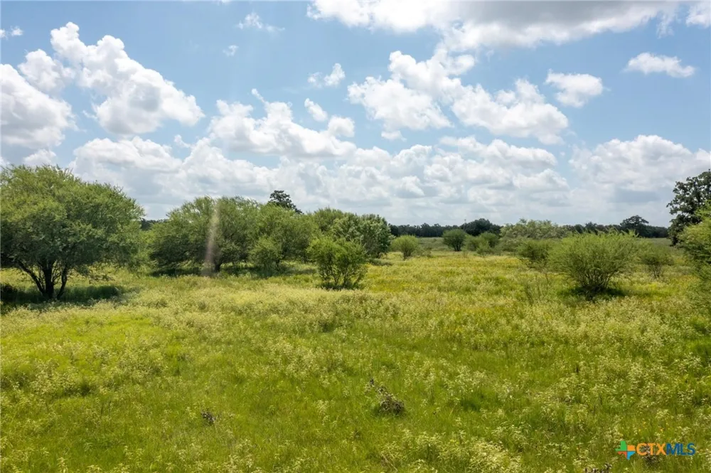 1371 Fannin Oaks Drive Victoria, TX 77905