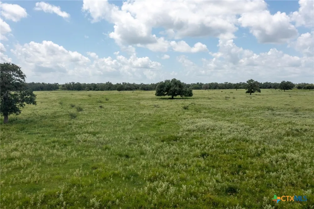 1371 Fannin Oaks Drive Victoria, TX 77905