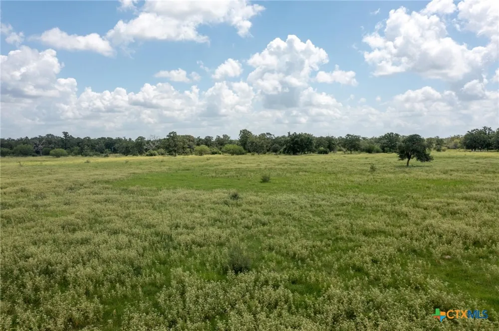 1371 Fannin Oaks Drive Victoria, TX 77905