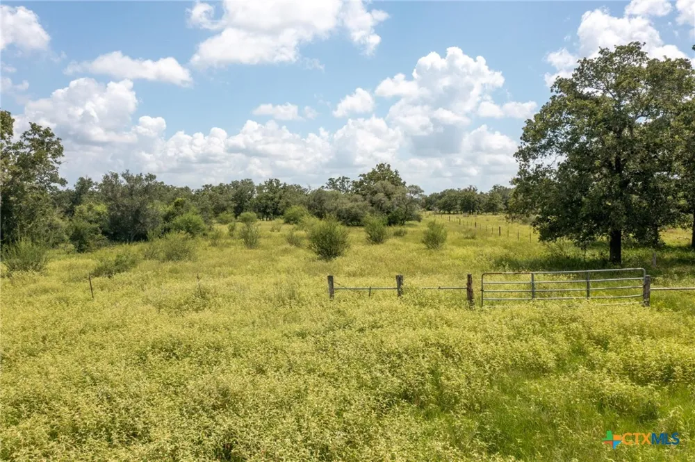 1371 Fannin Oaks Drive Victoria, TX 77905
