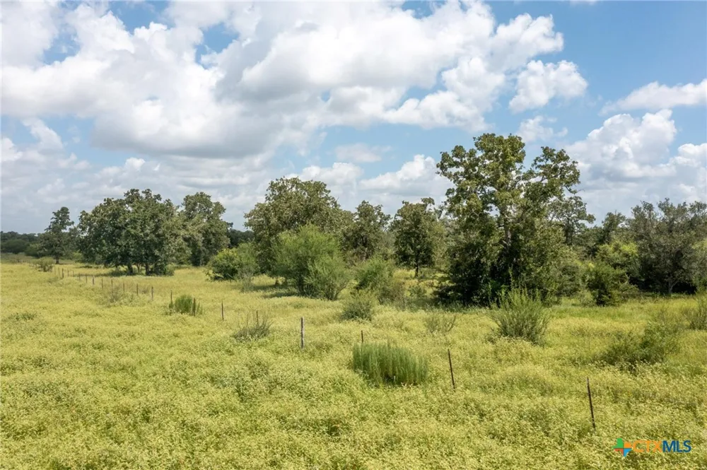1371 Fannin Oaks Drive Victoria, TX 77905