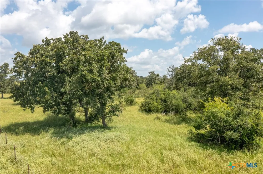 1371 Fannin Oaks Drive Victoria, TX 77905