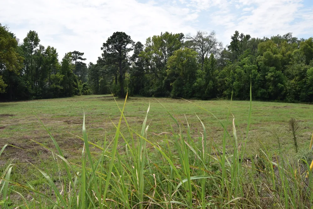 Old Shreveport Road Minden, LA 71055