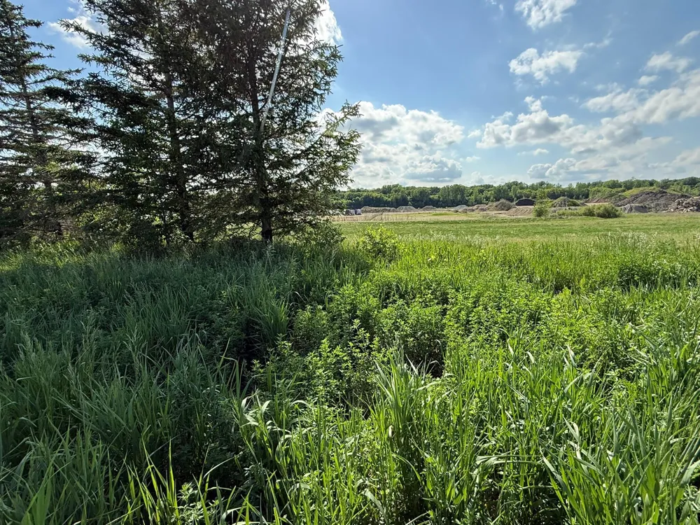 8292 Cabot Avenue Medford, MN 55049