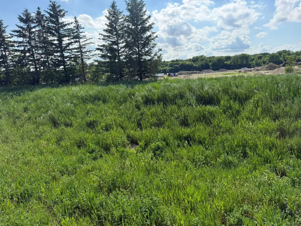 8292 Cabot Avenue Medford, MN 55049
