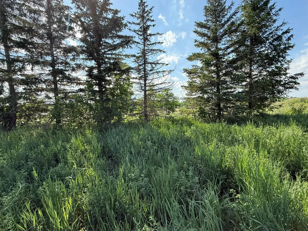 8292 Cabot Avenue Medford, MN 55049