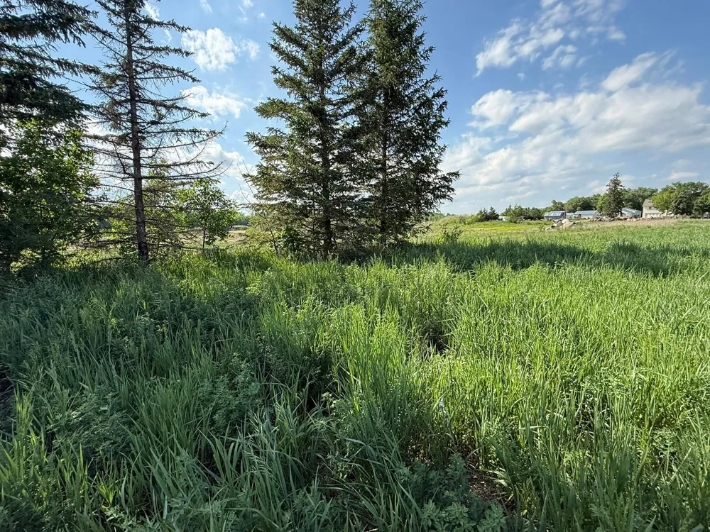 8292 Cabot Avenue Medford, MN 55049