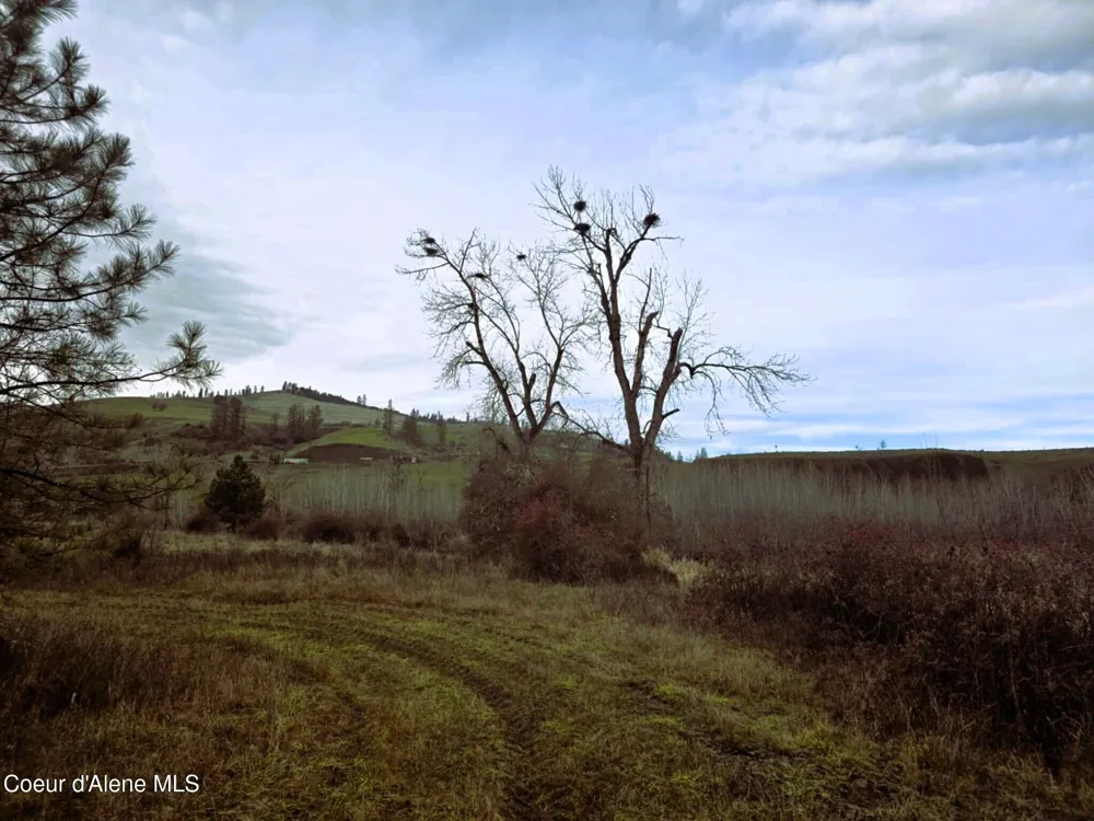 3841 Highway 13 Stites, ID 83552