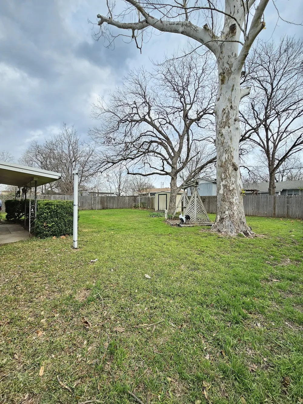 817 Lacy Drive Lacy Lakeview, TX 76705
