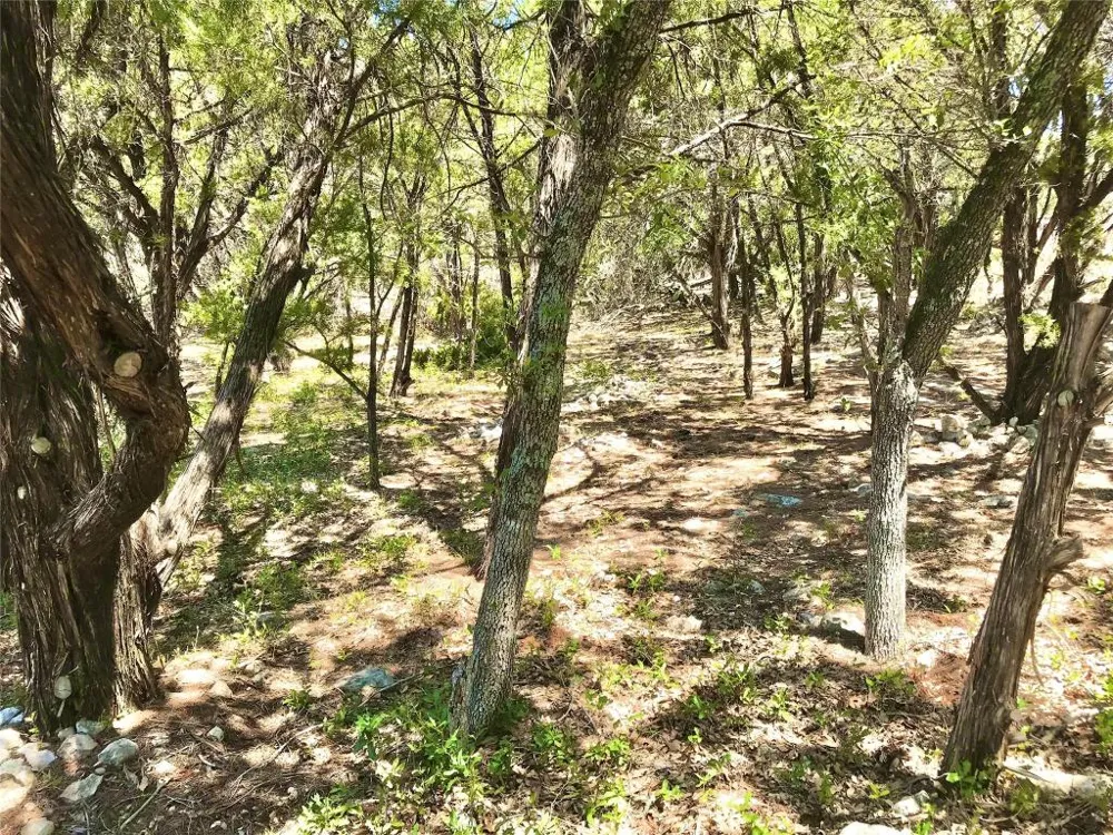 7205 White Oak Drive Lago Vista, TX 78645