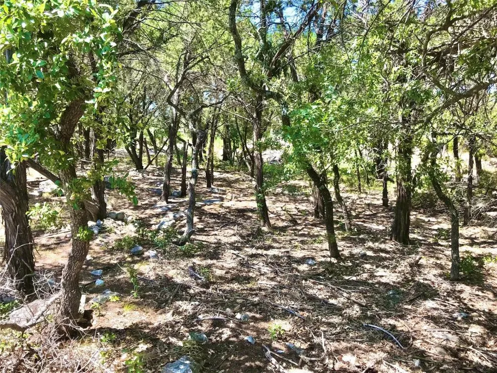 7205 White Oak Drive Lago Vista, TX 78645