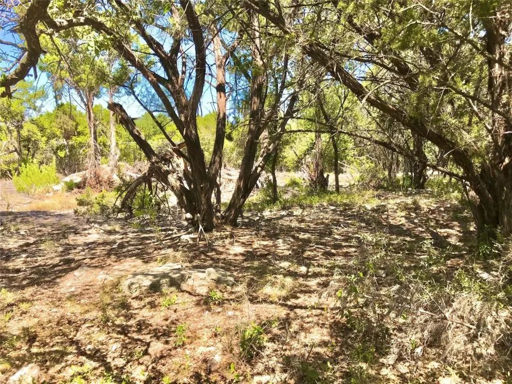 7205 White Oak Drive Lago Vista, TX 78645