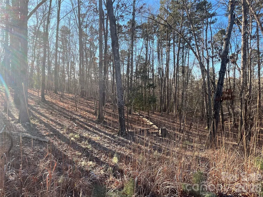 1866 Fairfield Road Mount Gilead, NC 27306