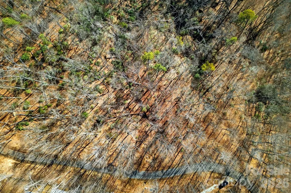 100 Wolf Pen Road Old Fort, NC 28762