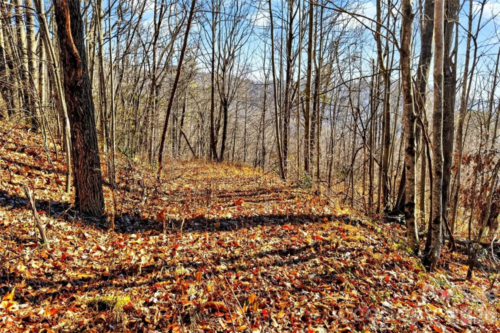 100 Wolf Pen Road Old Fort, NC 28762