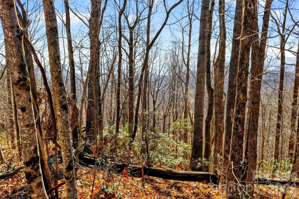 100 Wolf Pen Road Old Fort, NC 28762