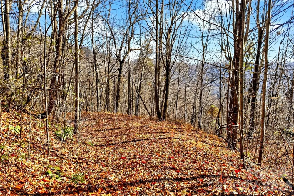 100 Wolf Pen Road Old Fort, NC 28762