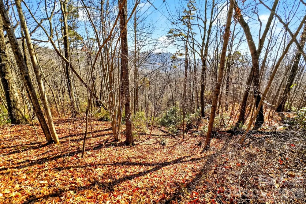 100 Wolf Pen Road Old Fort, NC 28762