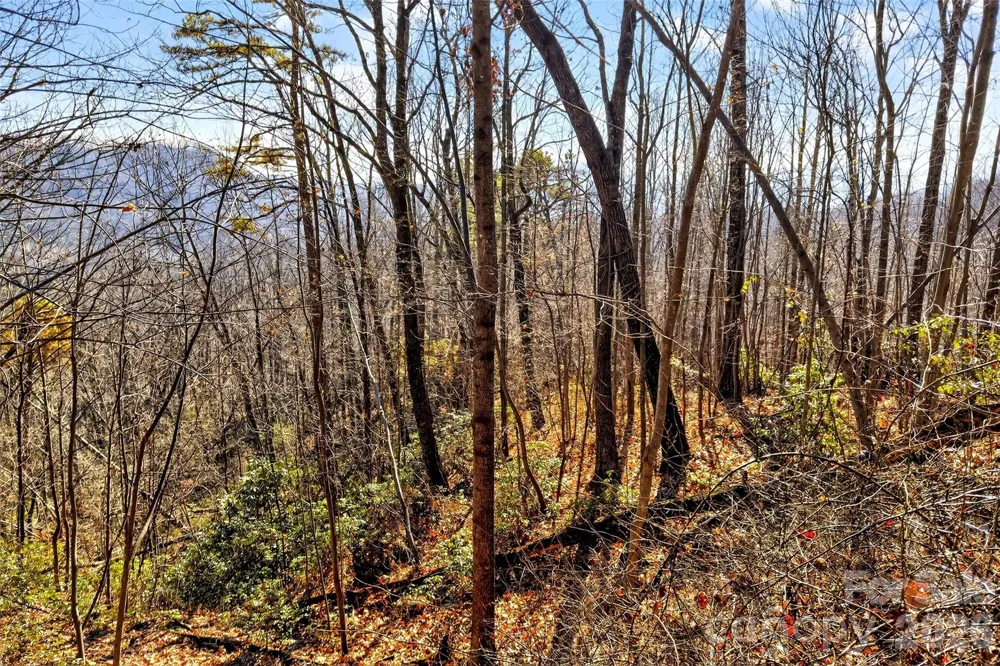 100 Wolf Pen Road Old Fort, NC 28762