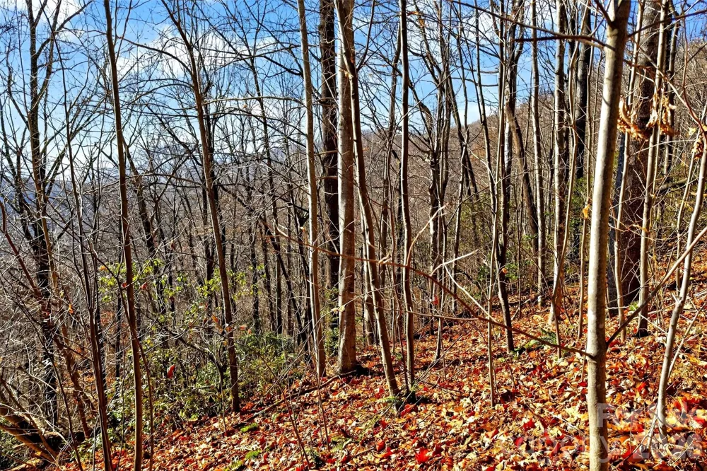 100 Wolf Pen Road Old Fort, NC 28762