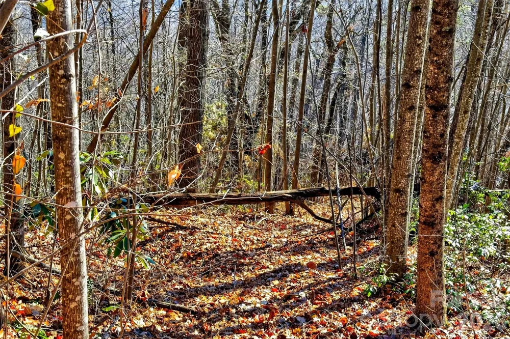 100 Wolf Pen Road Old Fort, NC 28762