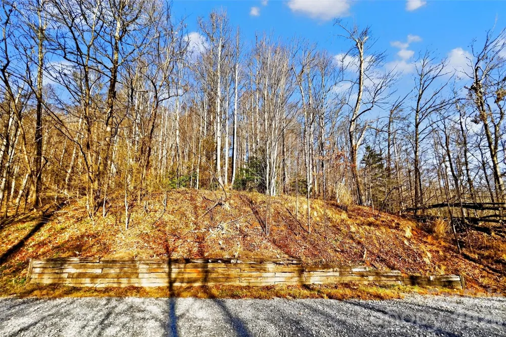 100 Wolf Pen Road Old Fort, NC 28762